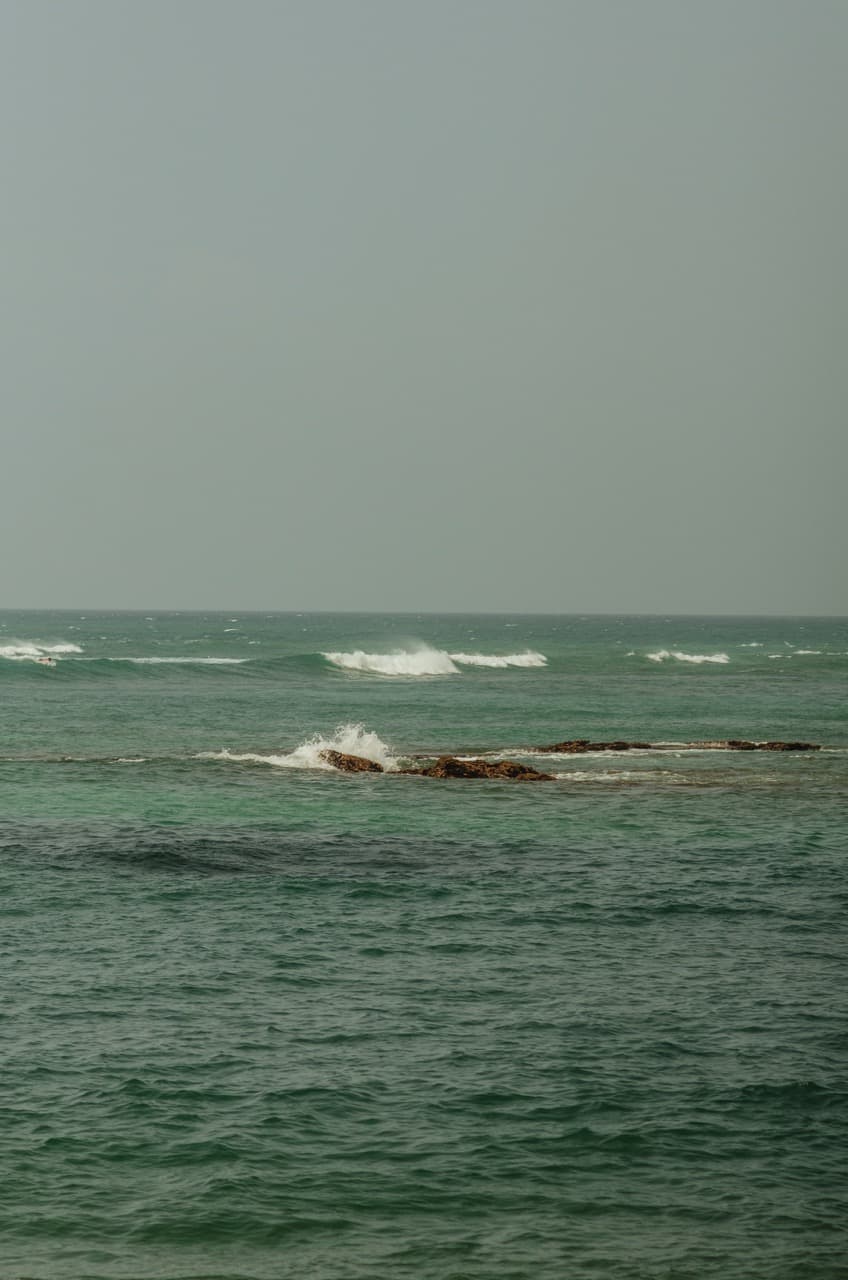 Превью Sri Lanka 2022